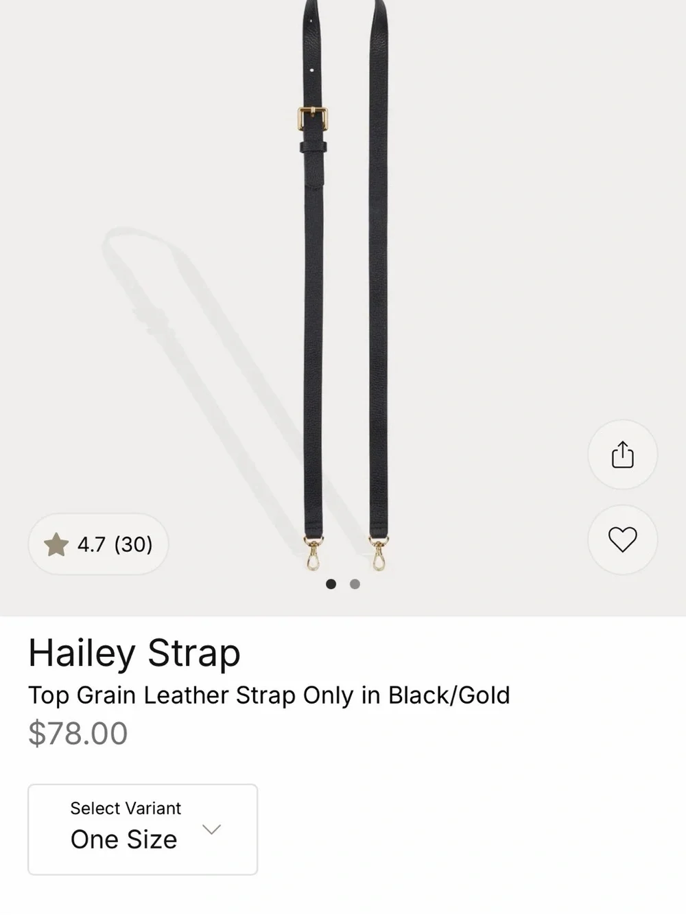 Bandolier Hailey Strap with Case